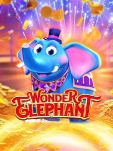 Wonder Elephant
